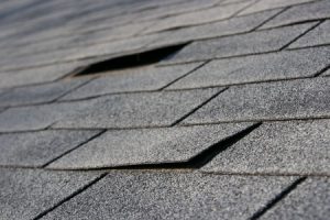 roofing trouble - damage to shingles that needs repair and maintenance